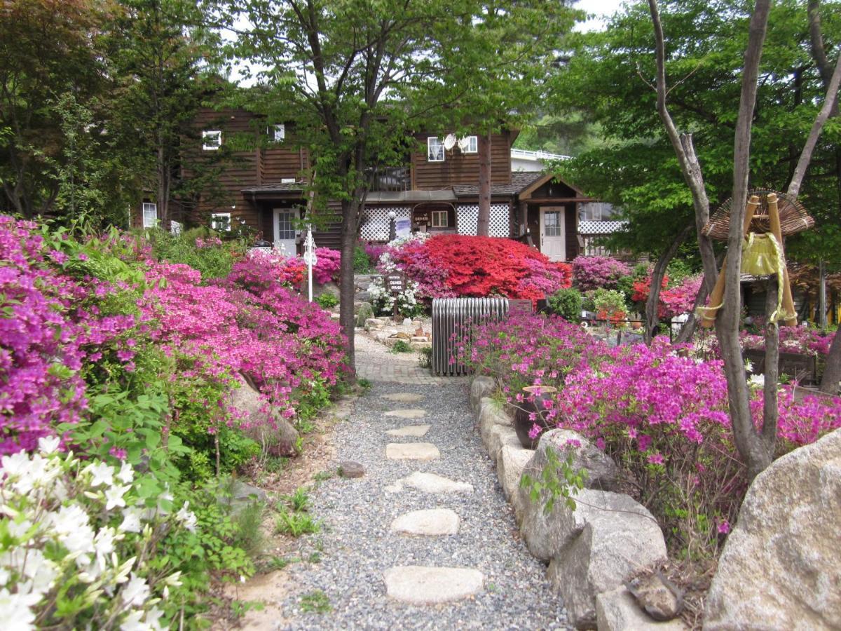 Mayfair Deneb Pension Pyeongchang Esterno foto