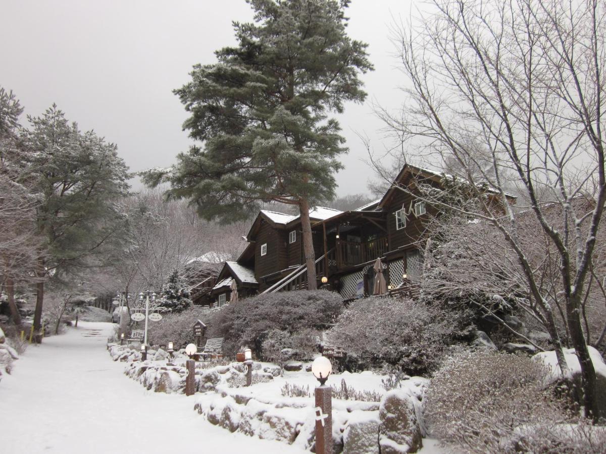 Mayfair Deneb Pension Pyeongchang Esterno foto